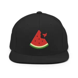 Free Palestine Watermelon Snapback Hat