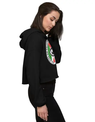 All Eyes on Palestine Crop Hoodie