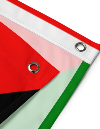 Palestine Flag