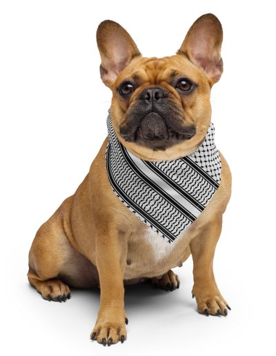 Kufiya (Keffiyeh) Bandana
