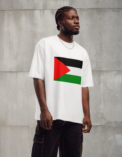 Palestine Flag Oversized T-shirt